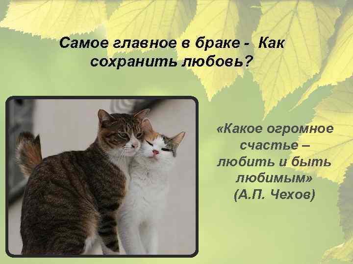 Самое главное в браке - Как сохранить любовь? «Какое огромное счастье – любить и