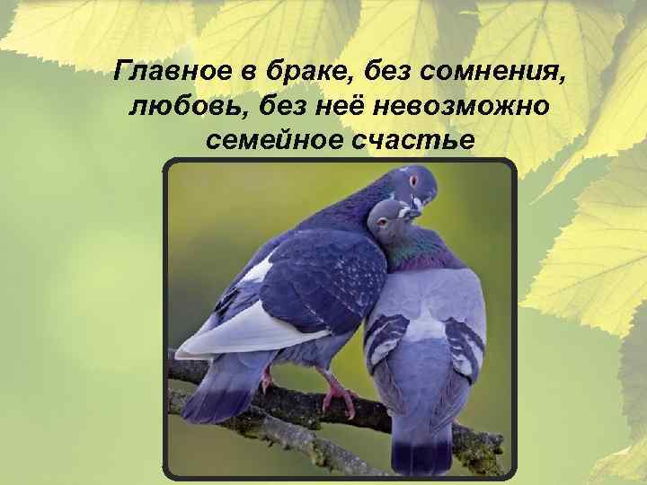 Главное в браке, без сомнения, любовь, без неё невозможно семейное счастье 