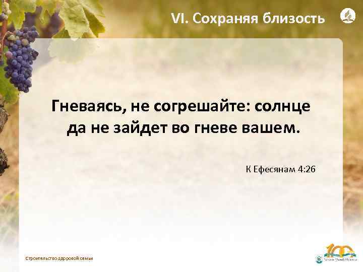 VI. Сохраняя близость Гневаясь, не согрешайте: солнце да не зайдет во гневе вашем. К