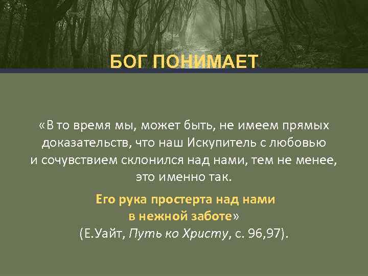 БОГ ПОНИМАЕТ «В то время мы, может быть, не имеем прямых доказательств, что наш