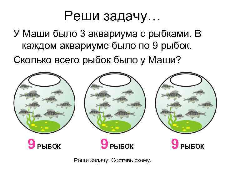 В 10 аквариумах было поровну рыбок. Задача про аквариум. Рыба Решающая задачу. Задача в аквариуме 3 рыбки. В аквариуме было 10 рыбок.