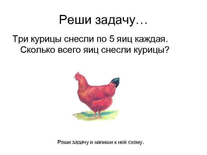 Кур снесли