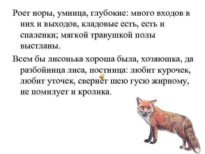 Роет норы, умница, глубокие: много входов в них и выходов, кладовые есть, есть и