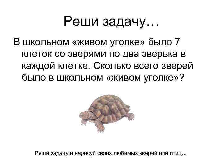 Реши задачу… В школьном «живом уголке» было 7 клеток со зверями по два зверька