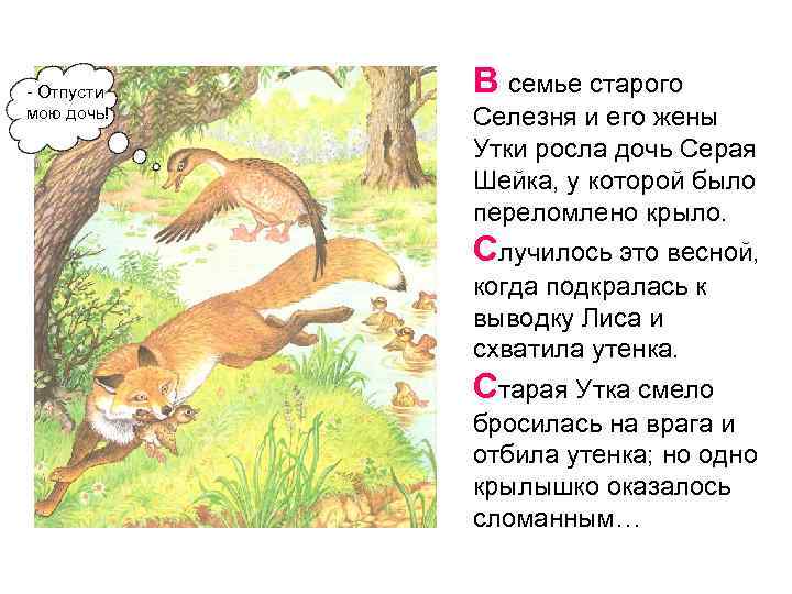 - Отпусти мою дочь! В семье старого Селезня и его жены Утки росла дочь