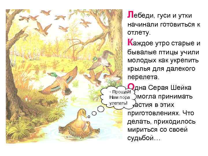 Анекдот про уточку и лебедей. Птицы готовятся к отлету. Лебеди гуси и утки начин. Лебеди, гуси и утки тоже начинали готовиться к отлету. Лебеди гуси и утки начинали готовиться к отлёту ВПР.