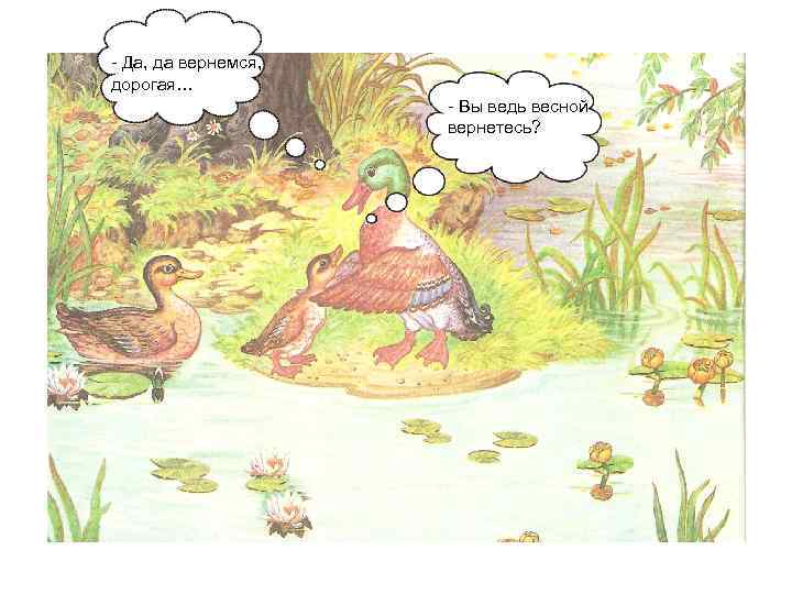 - Да, да вернемся, дорогая… - Вы ведь весной вернетесь? 