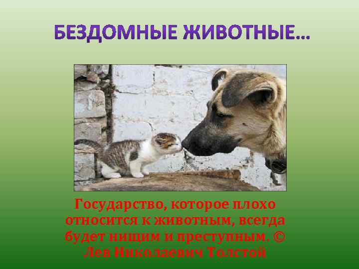 Государство, которое плохо относится к животным, всегда будет нищим и преступным. © Лев Николаевич