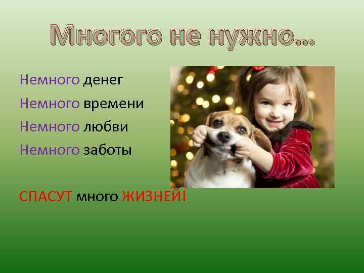 Многого не нужно… Немного денег Немного времени Немного любви Немного заботы СПАСУТ много ЖИЗНЕЙ!
