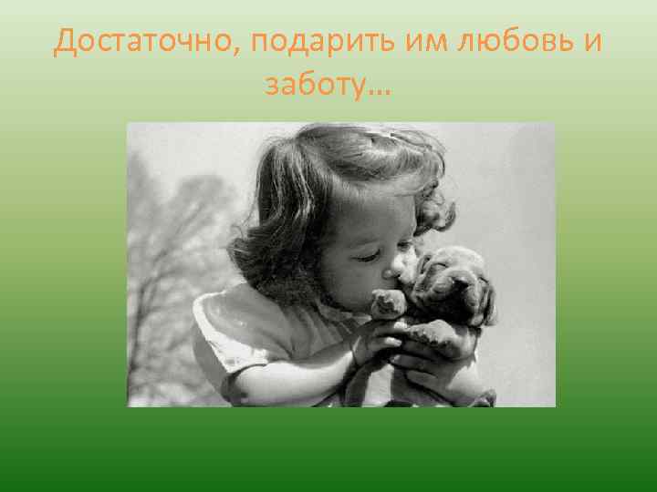 Достаточно, подарить им любовь и заботу… 