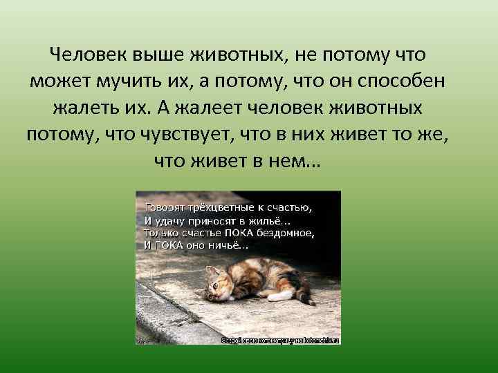 Человек выше животных, не потому что может мучить их, а потому, что он способен