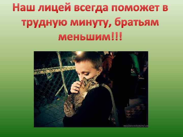 Наш лицей всегда поможет в трудную минуту, братьям меньшим!!! 
