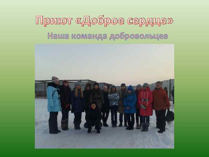 Приют «Доброе сердце» Наша команда добровольцев 