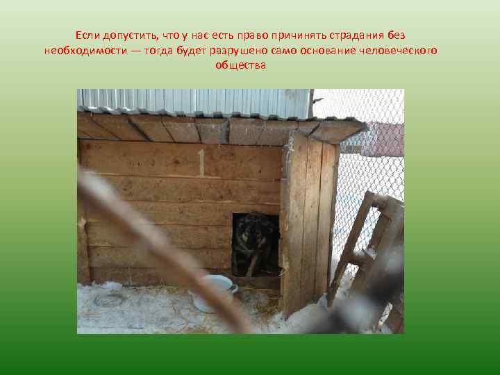 Если допустить, что у нас есть право причинять страдания без необходимости — тогда будет