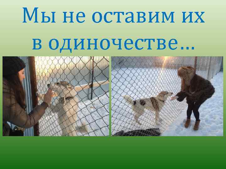 Мы не оставим их в одиночестве… 