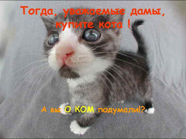 Тогда, уважаемые дамы, купите кота ! А вы О КОМ подумали!? 