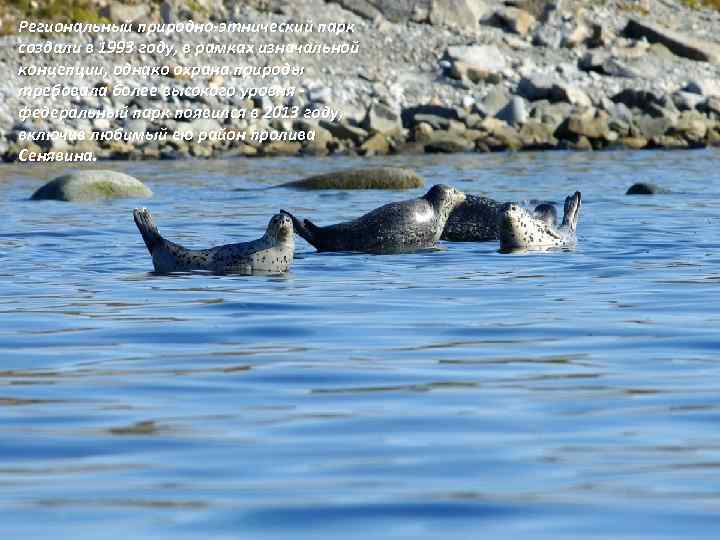 Региональный природно-этнический парк создали в 1993 году, в рамках изначальной концепции, однако охрана природы