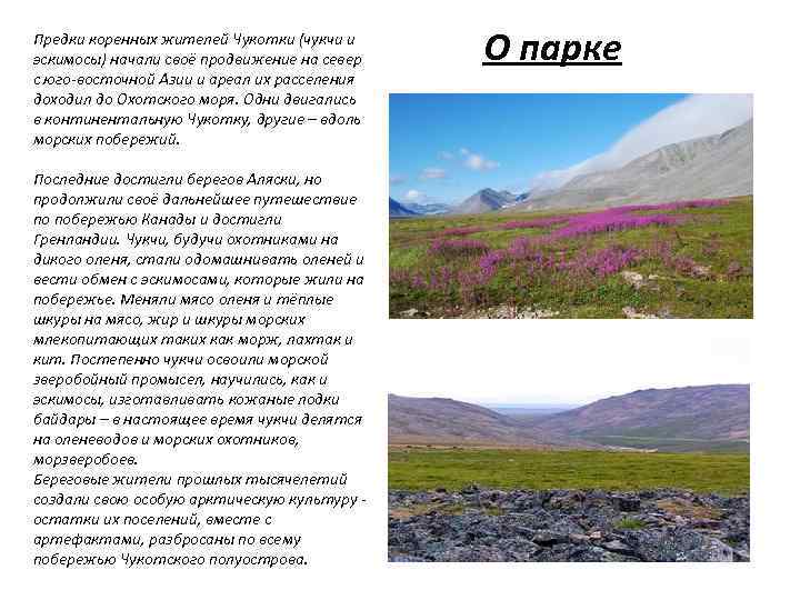 Предки коренных жителей Чукотки (чукчи и эскимосы) начали своё продвижение на север с юго-восточной