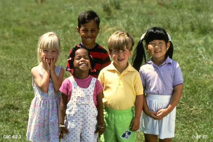 CRC 4. 2. 3 © IEF 67 