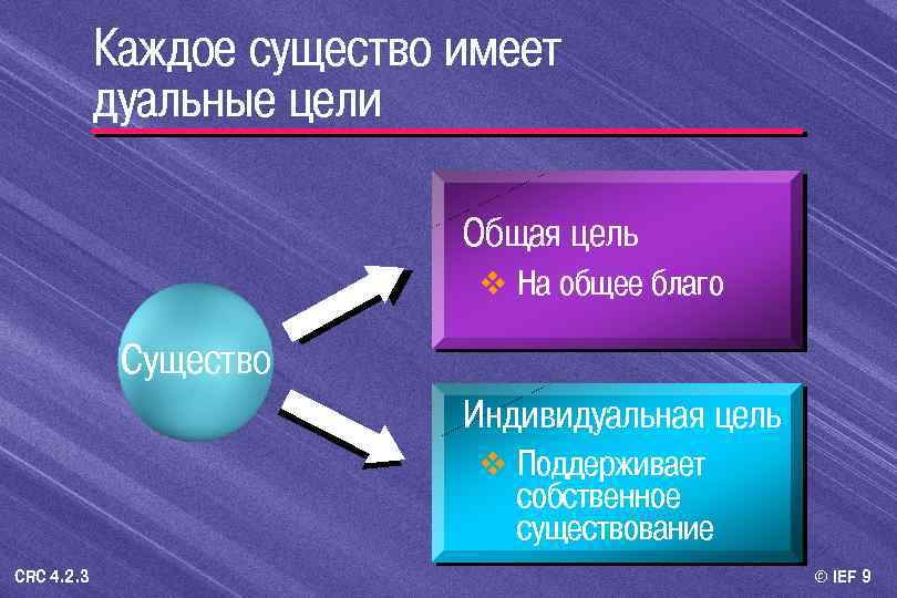 Каждое существо имеет дуальные цели Общая цель v На общее благо Существо Индивидуальная цель