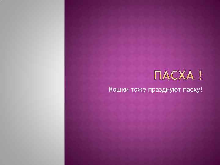 Кошки тоже празднуют пасху! 