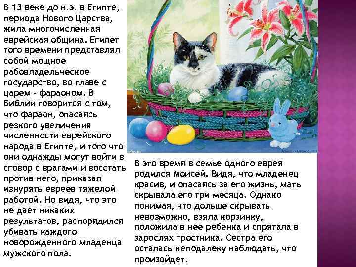 В 13 веке до н. э. в Египте, периода Нового Царства, жила многочисленная еврейская