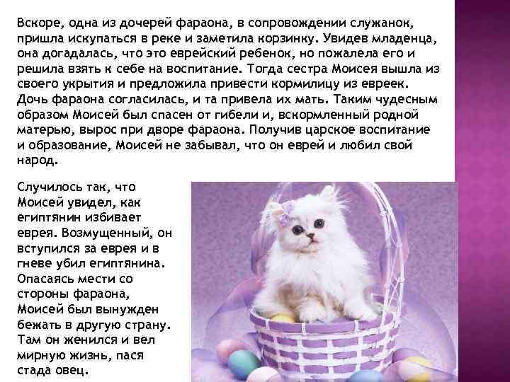 Вскоре, одна из дочерей фараона, в сопровождении служанок, пришла искупаться в реке и заметила