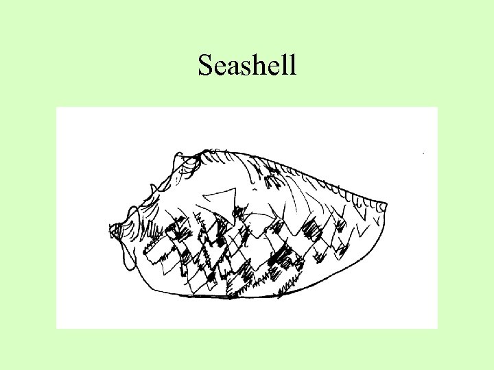 Seashell 