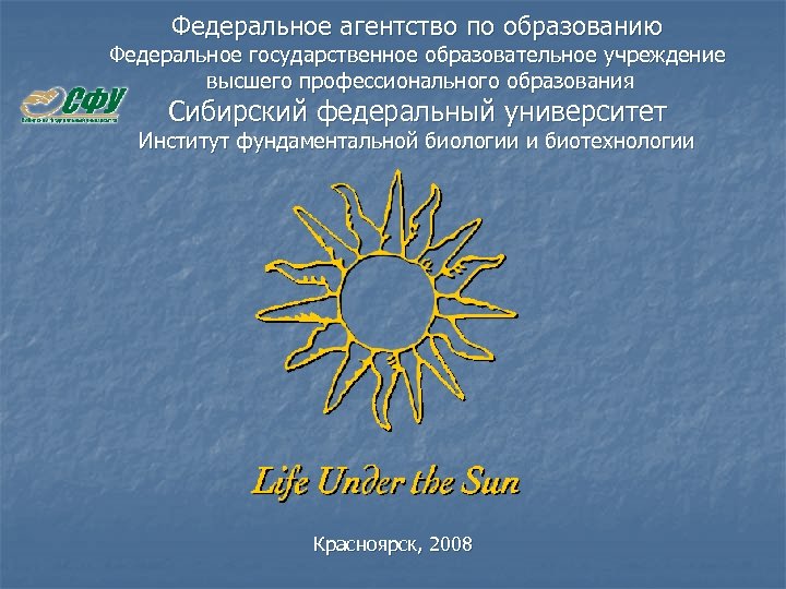 Федеральное агентство по образованию гоу впо. Федеральное агентство по образованию.