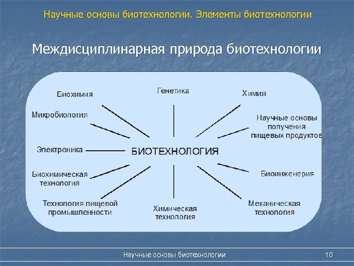 Презентация на тему биотехнология 10 класс