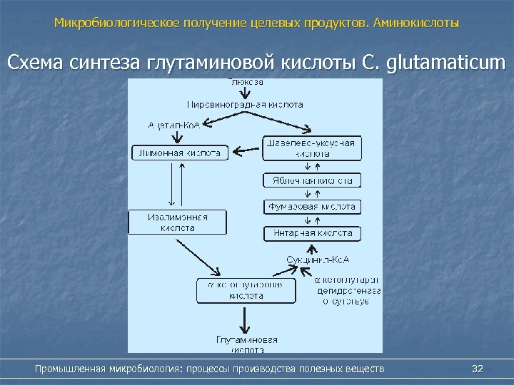 Схема микробиологического синтеза аминокислот