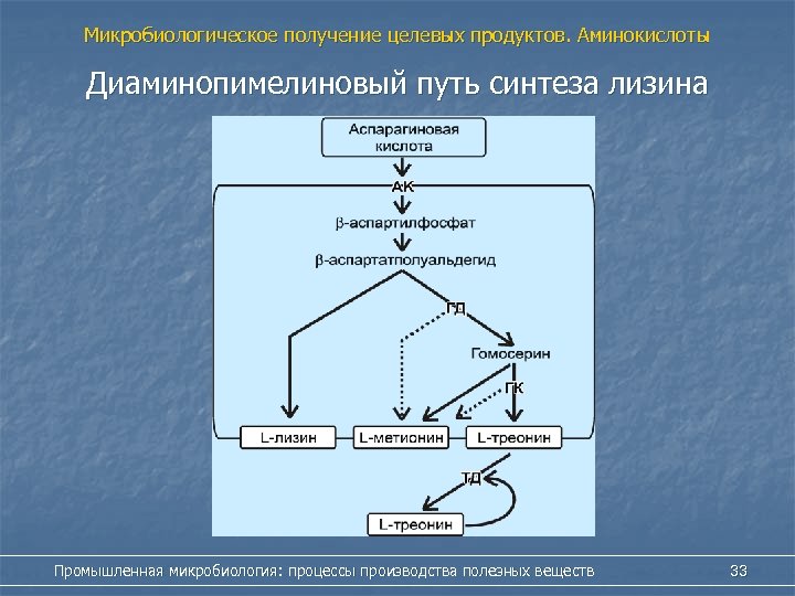 Технологическая схема производства лизина