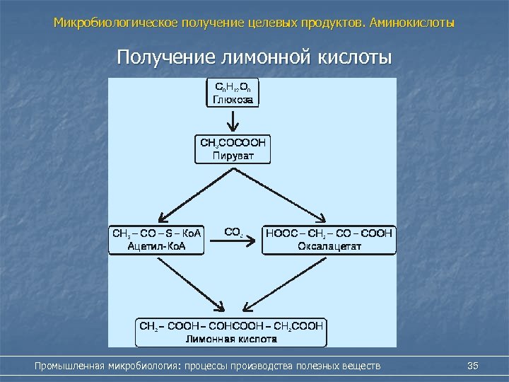 Получение компонентов геншин. Химизм образования лимонной кислоты. Получение лимонной кислоты. Синтез лимонной кислоты. Микробиологический Синтез лимонной кислоты.