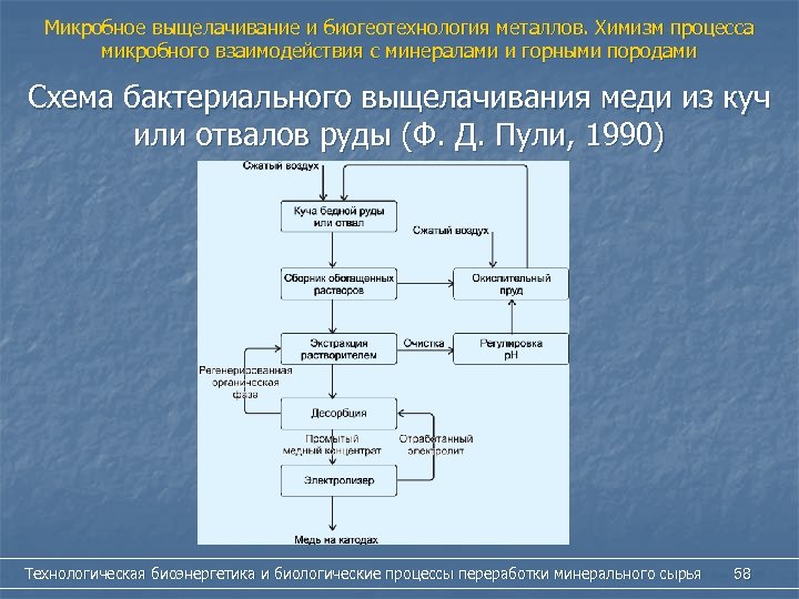 Биогеотехнология металлов презентация