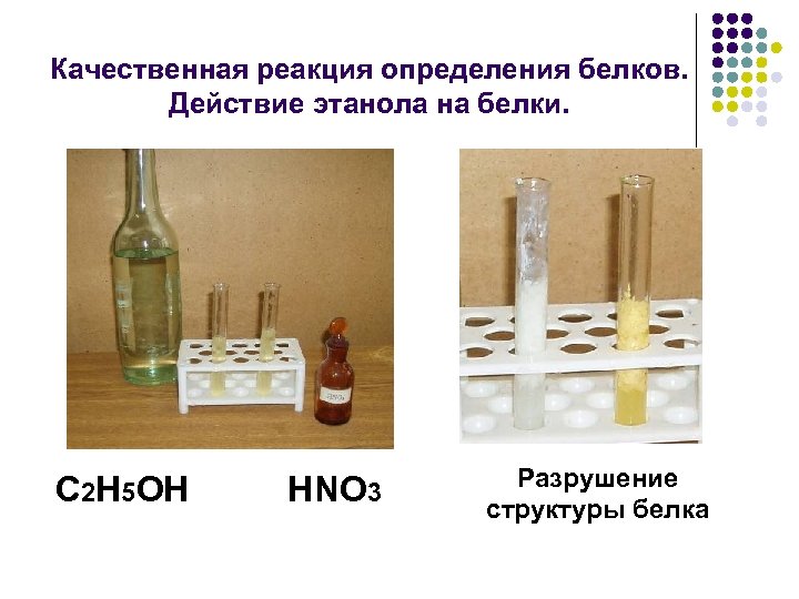 Качественная реакция определения белков. Действие этанола на белки. C 2 H 5 OH HNO