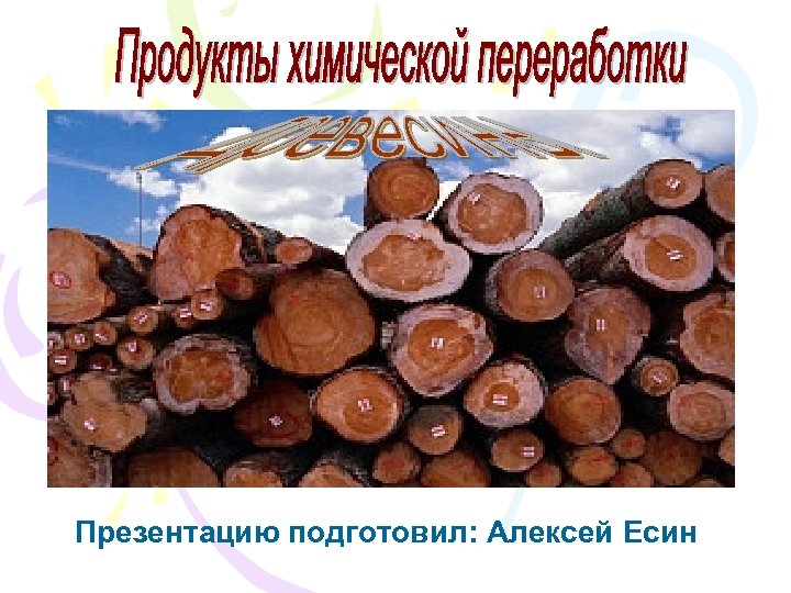 Презентацию подготовил: Алексей Есин 