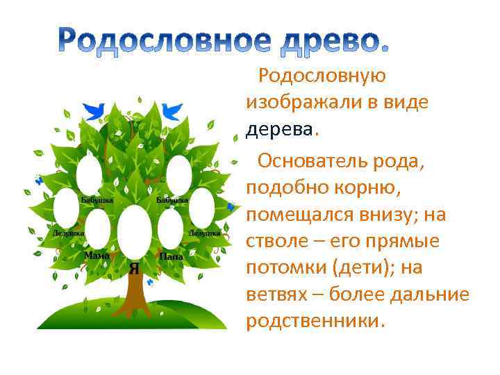 Родословную изображали в виде дерева. Основатель рода, подобно корню, помещался внизу; на стволе –