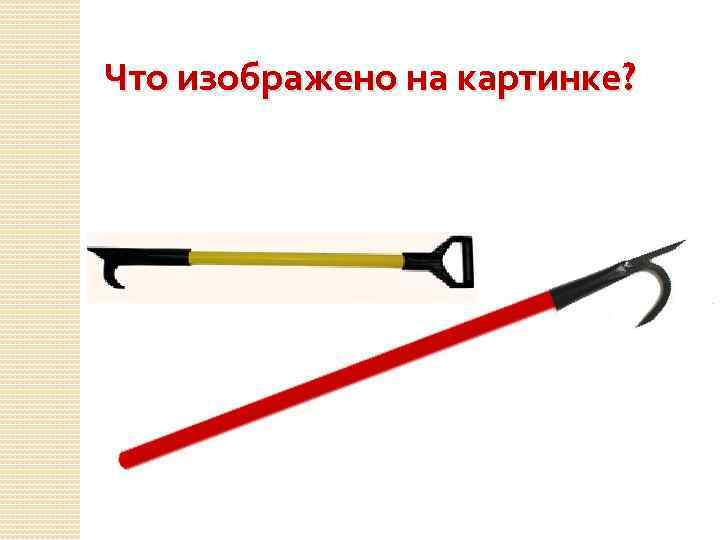 Что изображено на картинке? 