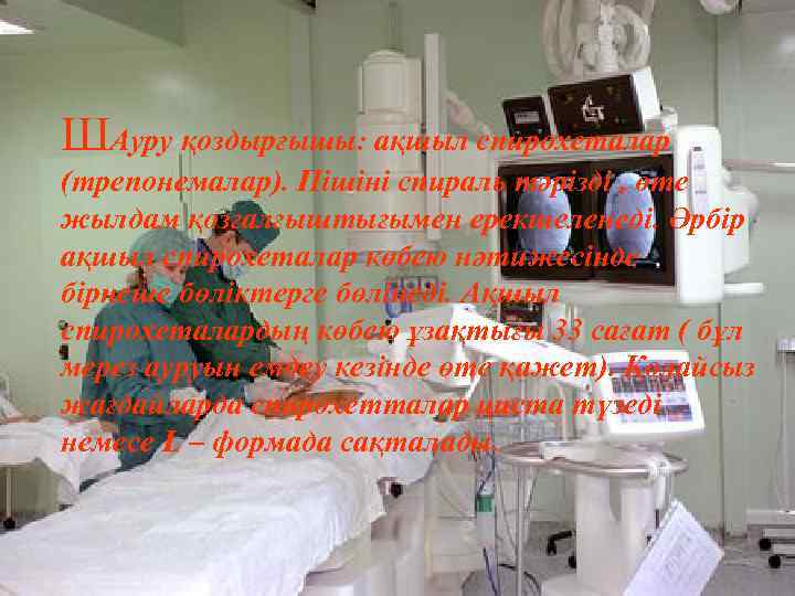 ШАуру қоздырғышы: ақшыл спирохеталар (трепонемалар). Пішіні спираль тәрізді , өте жылдам қозғалғыштығымен ерекшеленеді. Әрбір