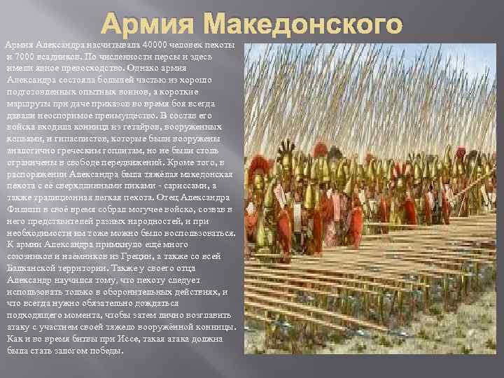 Армия Македонского Армия Александра насчитывала 40000 человек пехоты и 7000 всадников. По численности персы