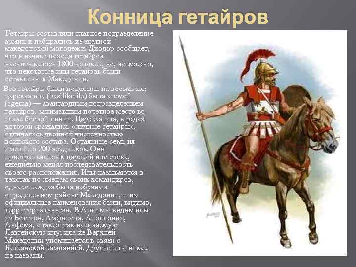 Конница гетайров Гетайры составляли главное подразделение армии и набирались из знатной македонской молодежи. Диодор