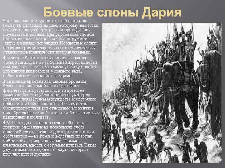 Боевые слоны Дария Управлял слоном единственный наездник (махаут), сидевший на шее, которому для атаки
