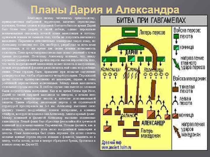 Планы Дария и Александра Благодаря своему численному превосходству, преимуществам выбранной территории, наличию серпоносных колесниц,