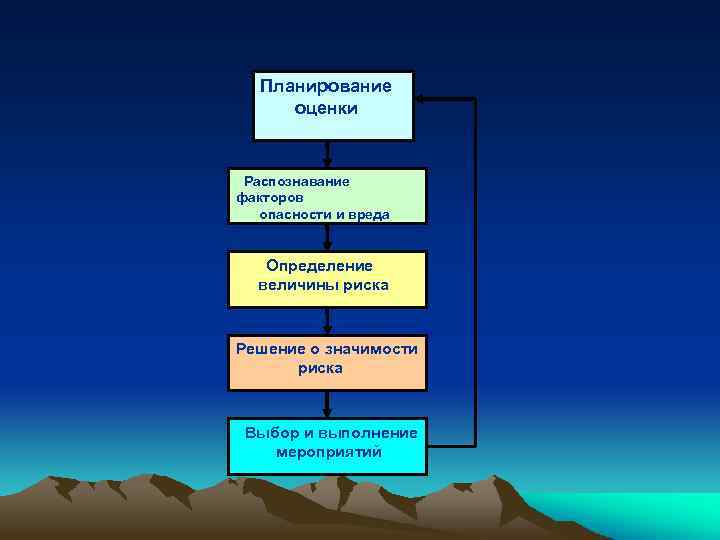 Планирование оценки Распознавание факторов опасности и вреда Определение величины риска Решение о значимости риска