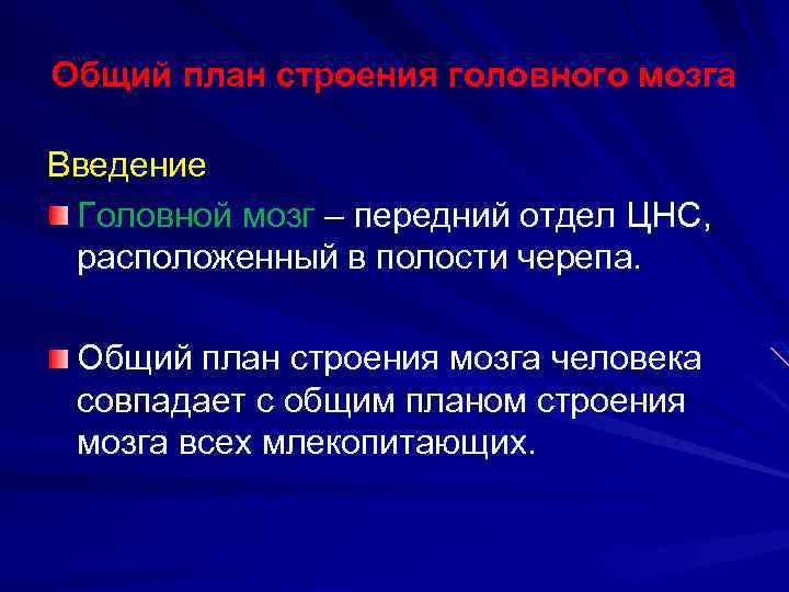 Общий план строения головного мозга Введение Головной мозг – передний отдел ЦНС, расположенный в