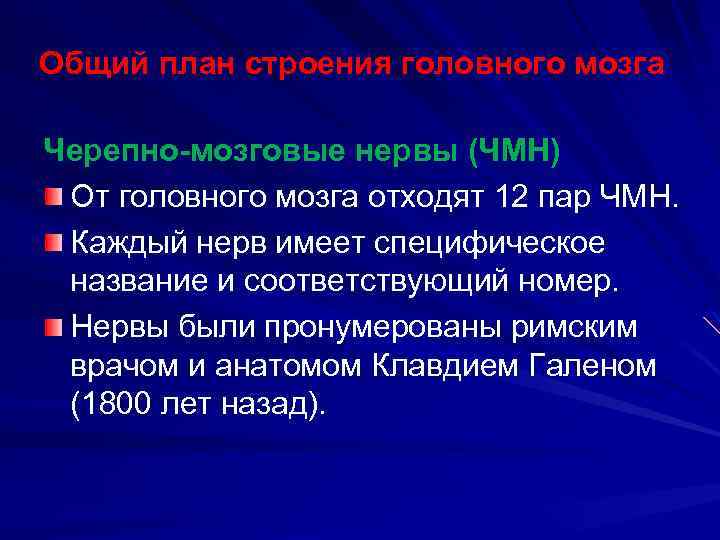 Общий план строения головного мозга Черепно-мозговые нервы (ЧМН) От головного мозга отходят 12 пар