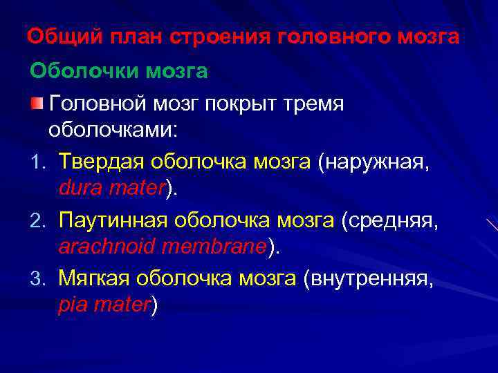 Общий план строения головного мозга Оболочки мозга Головной мозг покрыт тремя оболочками: 1. Твердая