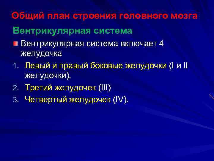 Общий план строения головного мозга Вентрикулярная система включает 4 желудочка 1. Левый и правый