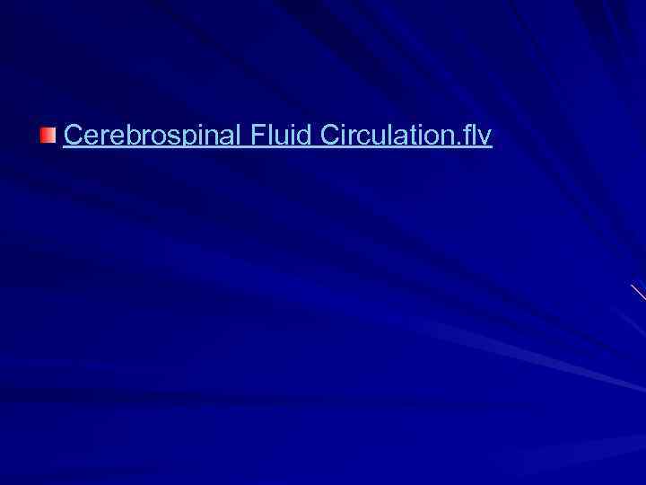 Cerebrospinal Fluid Circulation. flv 