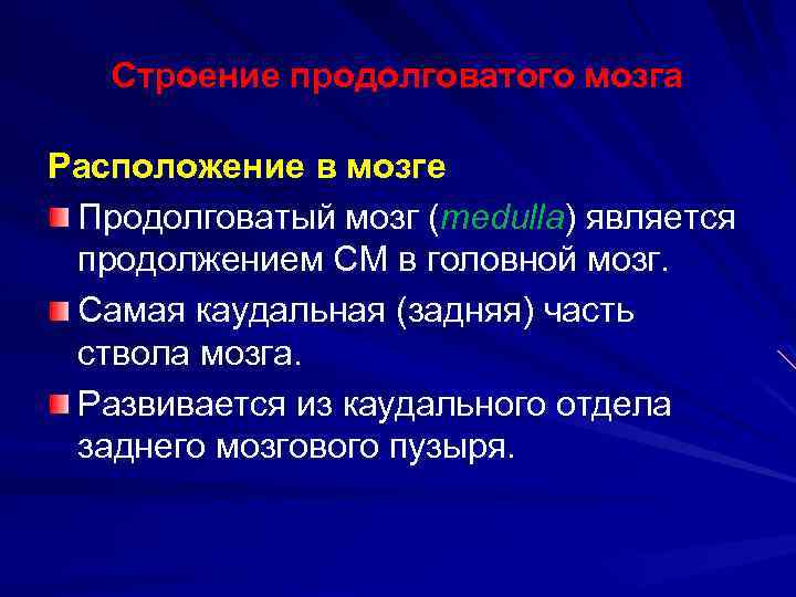 Строение продолговатого мозга Расположение в мозге Продолговатый мозг (medulla) является продолжением СМ в головной